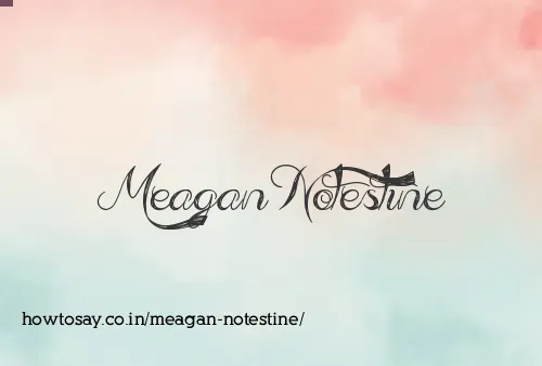 Meagan Notestine