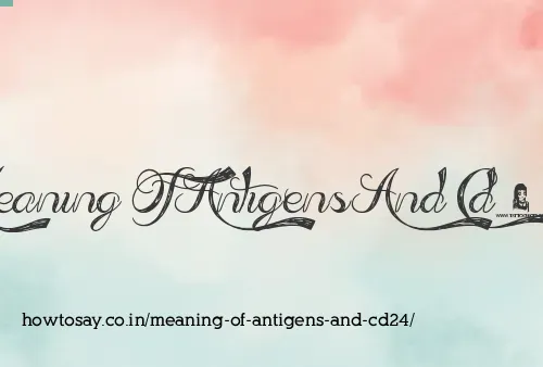 Meaning Of Antigens And Cd24