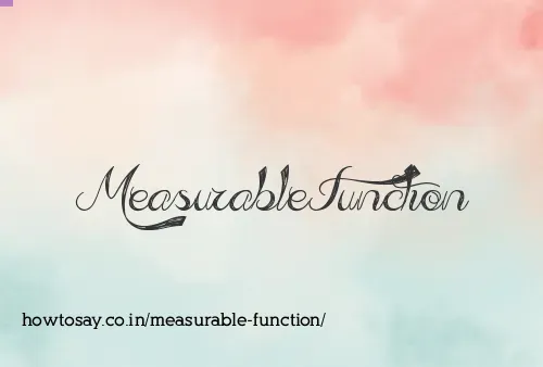 Measurable Function