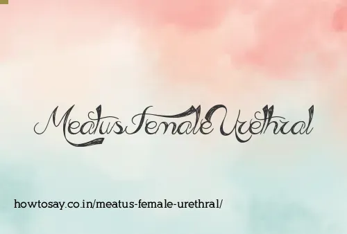 Meatus Female Urethral