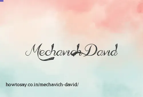 Mechavich David
