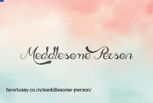 Meddlesome Person