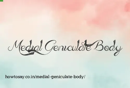 Medial Geniculate Body