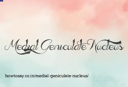 Medial Geniculate Nucleus