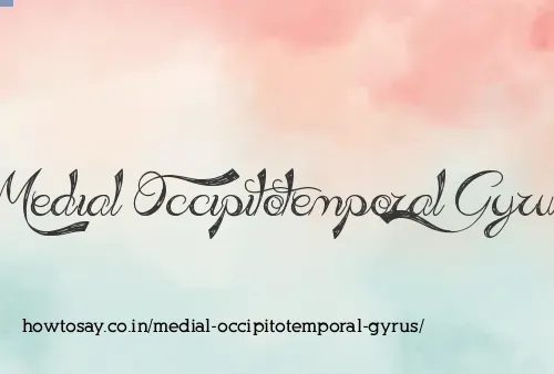 Medial Occipitotemporal Gyrus