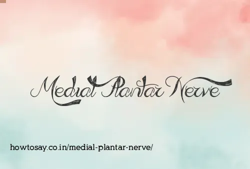 Medial Plantar Nerve