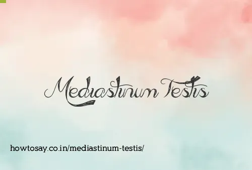 Mediastinum Testis