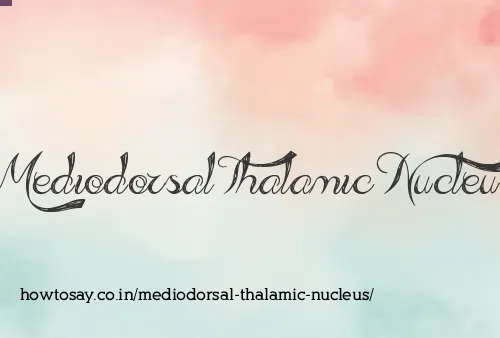 Mediodorsal Thalamic Nucleus