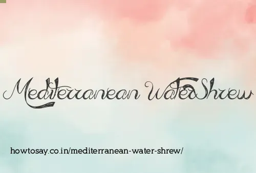 Mediterranean Water Shrew