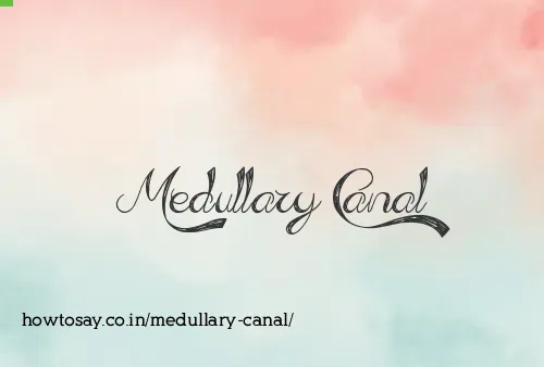 Medullary Canal