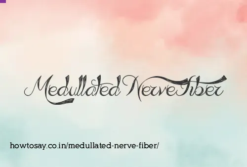 Medullated Nerve Fiber