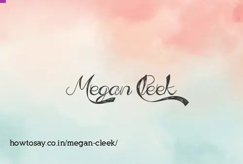 Megan Cleek