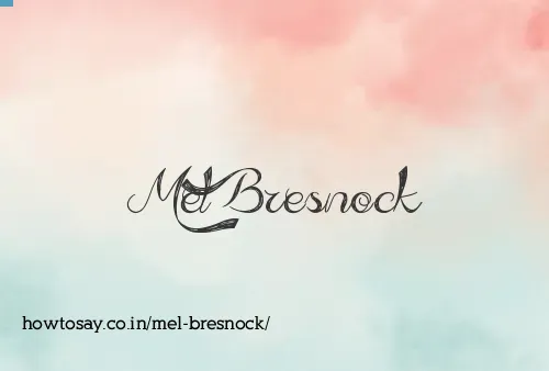 Mel Bresnock