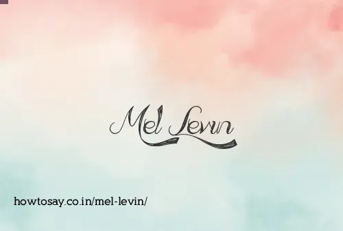 Mel Levin