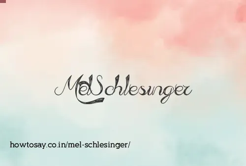 Mel Schlesinger