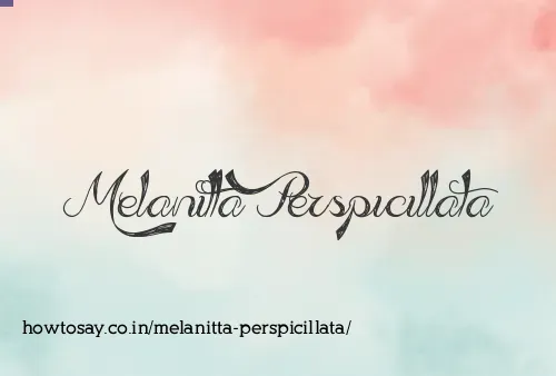 Melanitta Perspicillata