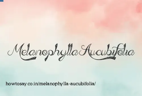 Melanophylla Aucubifolia