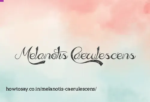 Melanotis Caerulescens