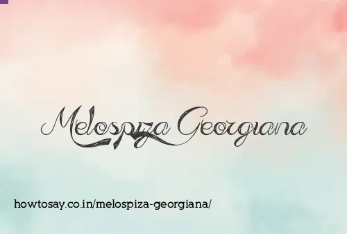 Melospiza Georgiana