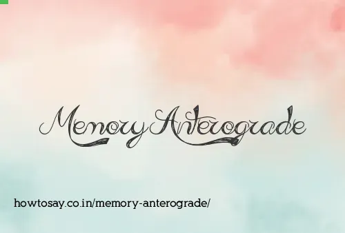 Memory Anterograde
