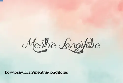 Mentha Longifolia