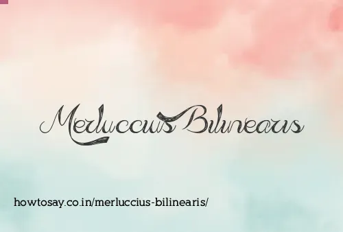 Merluccius Bilinearis