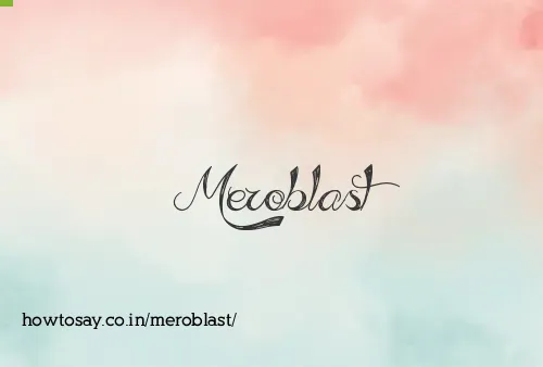 Meroblast