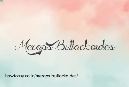 Merops Bullockoides