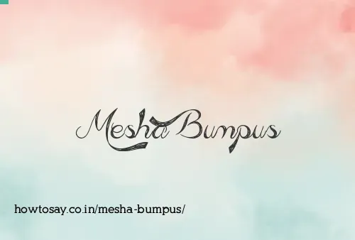 Mesha Bumpus