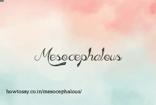 Mesocephalous