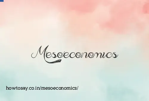 Mesoeconomics