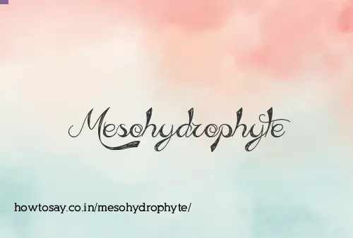 Mesohydrophyte