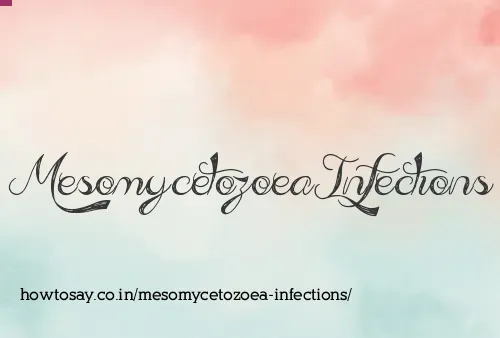 Mesomycetozoea Infections