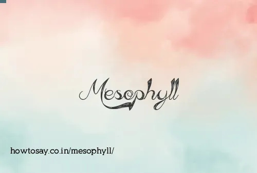 Mesophyll