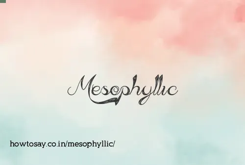 Mesophyllic