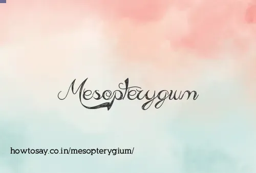 Mesopterygium