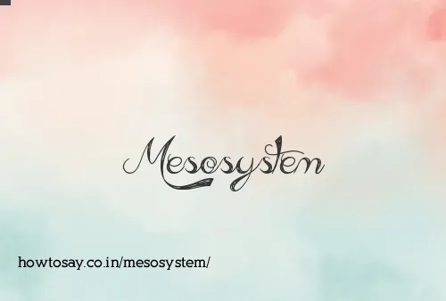 Mesosystem