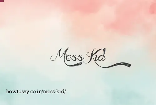 Mess Kid