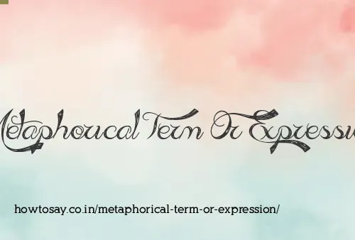 Metaphorical Term Or Expression