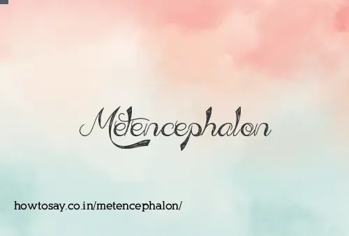 Metencephalon