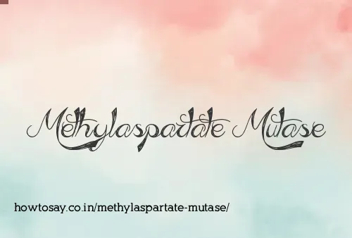 Methylaspartate Mutase