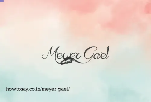 Meyer Gael