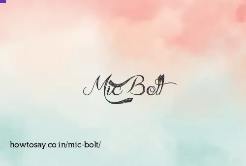 Mic Bolt