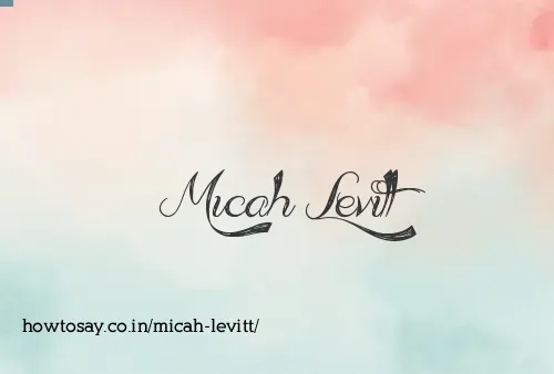 Micah Levitt