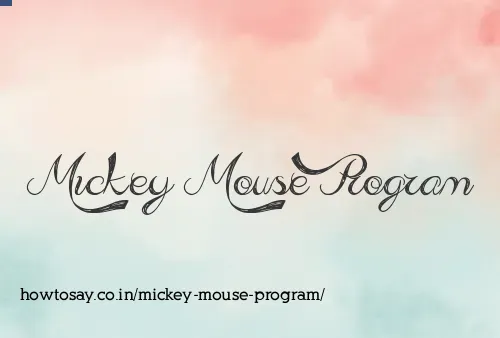 Mickey Mouse Program
