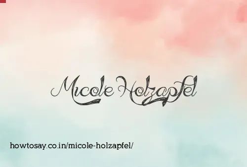 Micole Holzapfel