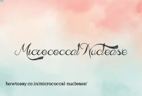 Micrococcal Nuclease