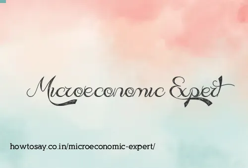 Microeconomic Expert