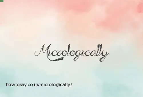 Micrologically