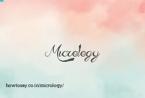Micrology
